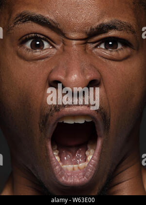 Close up portrait of young and emotional african-american man. Highly detail photoshot of male model with well-kept skin and bright facial expression. Concept of human emotions. Angry screaming. Stock Photo