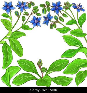 borage vector frame on white background Stock Vector