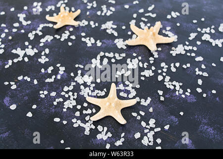 Seashell and starfish on dark background Stock Photo