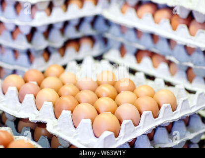 A lot of eggs in the cardboard boxes Stock Photo