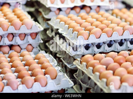 a lot of eggs in the cardboard boxes Stock Photo