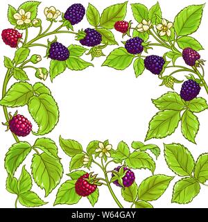 boysenberry vector frame on white background Stock Vector