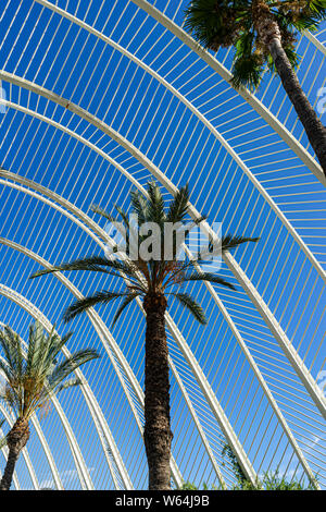 JULY 27, 2019 - VALENCIA, SPAIN. Inside the l'Umbracle (2001)  outdoor sculpture gallery and garden. Part of the CIty of Arts and Sciences in Valencia Stock Photo