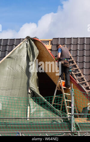 Roofer stands unsecured on a ladder Stock Photo