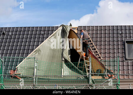 Roofer stands unsecured on a ladder Stock Photo