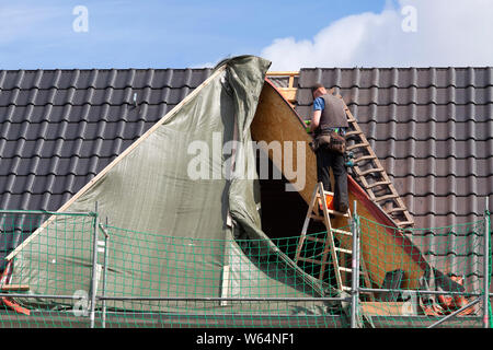 Roofer stands unsecured on a ladder Stock Photo
