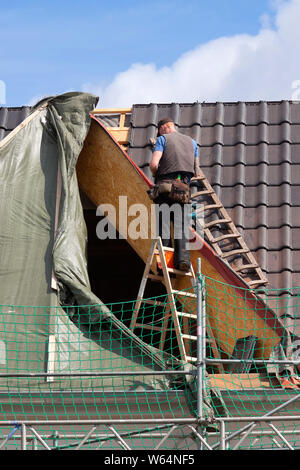 Roofer stands unsecured on a ladder Stock Photo