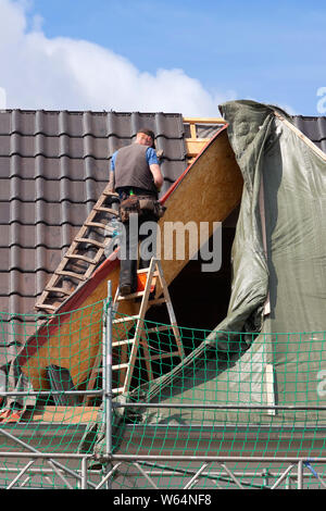 Roofer stands unsecured on a ladder Stock Photo