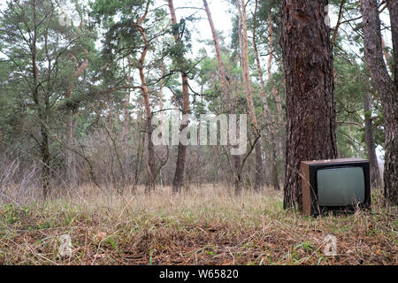 Discarded television set in the pin forest Stock Photo