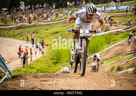 AUGUST 3, 2014 - MONT SAINTE ANNE, CANADA. Nino Schurter at the UCI Mountain Bike Cross Country World Cup. Stock Photo