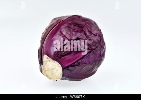 red cabbage, Brassica oleracea convar. capitata var. rubra Stock Photo