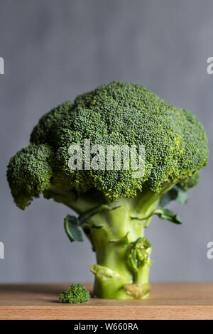 Raw fresh Broccoli on gray background. Concept of healthy food Stock Photo
