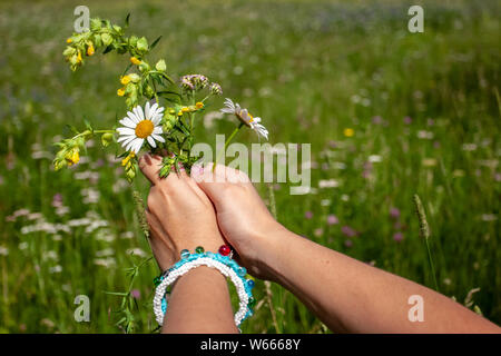 Bouquet of wild flowers in female hands on the background of a blurred green field. On hand dyeing bracelets. There is a place for text. Grass backgro Stock Photo