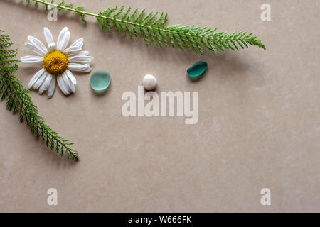 Flat view. Two branches in the shape of a Christmas tree and between them a daisy and green glass with white pebbles. Background brown ceramic tile. T Stock Photo