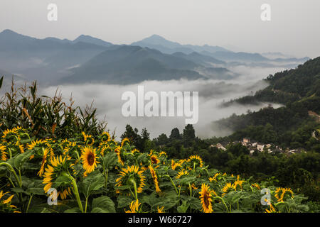 Landscape of mountain encircled by enchanting clouds at the Yellow Mountain scenic spot in Huangshan city, east China's Anhui province, 24 July 2018. Stock Photo