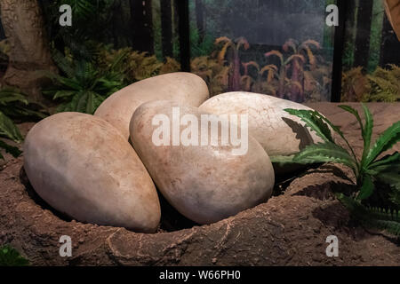 Sirindhorn Museum, Karasin Province Thailand - July 20, 2019: Dinosaur egg at Sirindhorn Museum is a geology museum in northeast Thailand. Stock Photo