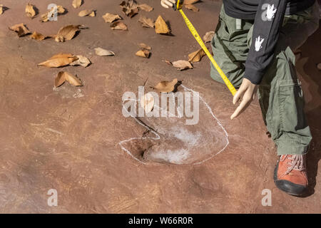 Sirindhorn Museum, Karasin Province Thailand - July 20, 2019: Explorers are measuring dinosaur footsteps. Stock Photo