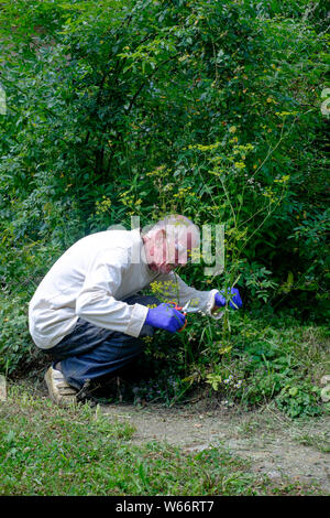 A man in safety glasses cuts metal with a special circular 