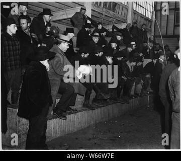 Lancaster County, Pennsylvania. Horse sales are still popular institutions in Lancaster County. Th . . .; Scope and content:  Full caption reads as follows: Lancaster County, Pennsylvania. Horse sales are still popular institutions in Lancaster County. The Plain People are usually well represented at these affairs. Stock Photo