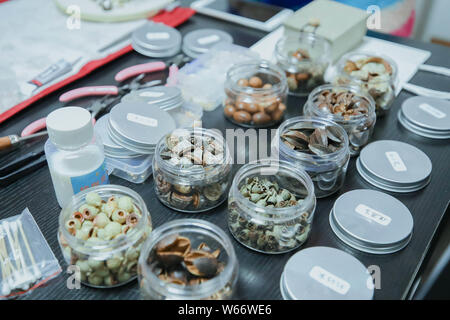 --FILE--Tools and materials used to create artworks are on display at the workshop of Chinese DIY enthusiast Xiaobei  in Beijing, China, 21 April 2018 Stock Photo