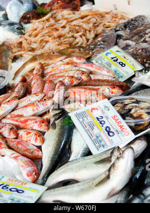 mixed-fish-for-sale-on-a-local