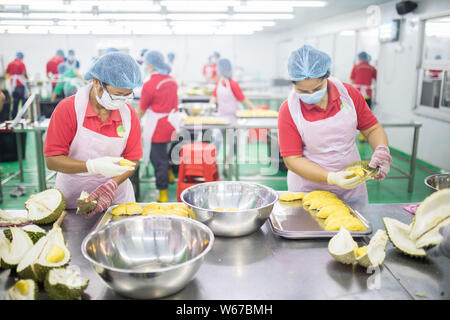Durian Rind Processing --FILE--Durian, known as the