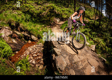 Afan forest best sale park mtb