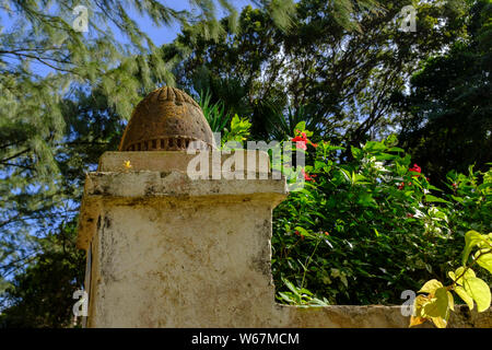 Details from the grounds and tour at St Nicholas Abbey, an artisanal rum distillery in the highland region of Barbados, in the Caribbean Stock Photo