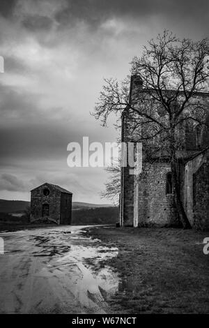 Vertical shot of a pathway near a big house with a tree in front of it and a building in distance Stock Photo