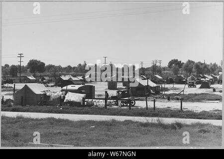 Oildale, Kern County, California. Tent village another private auto court for agricultural workers . . .; Scope and content:  Full caption reads as follows: Oildale, Kern County, California. Tent village another private auto court for agricultural workers on and off relief. Most of the workers live here permanently. Stock Photo