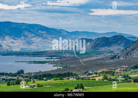 viticulture at Osoyoos, Okanagan Valley, Britsh Columbia, Canada Stock Photo