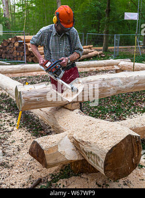 Building a log house with chainsaw and traditional carpenter tools. A carpenter uses a chainsaw to shape the corner notch of a log on the log cabin shell, with a fence and further stacked logs in the background Stock Photo