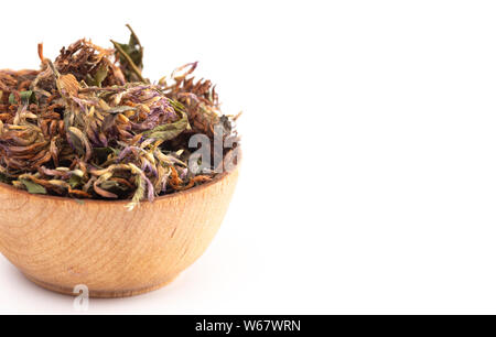 Dried Red Clover Flowers and Leaves Isolated on a White Background Stock Photo