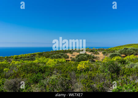Greece, Zakynthos, Summer mood in green greek countryside at the ocean Stock Photo