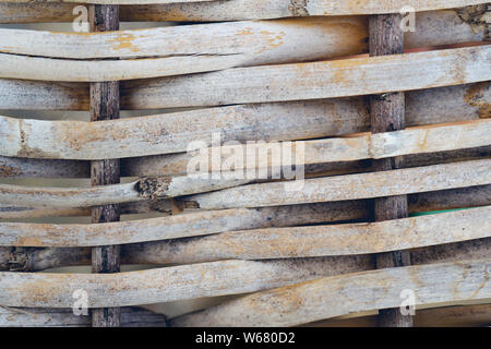 Background of reed. Reed Isolated. Traditional fence made of bamboo reed. Asian style. Stock Photo