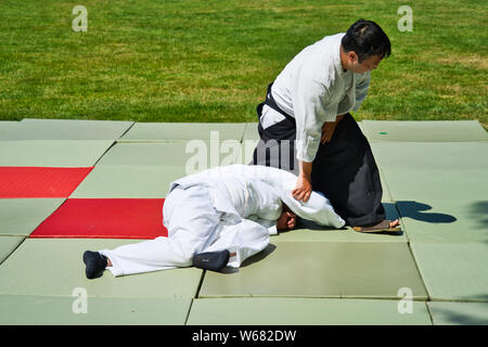 Hannover, Germany, June 30., 2019: Aikido training on green tatamis with fighters using a lever handle Stock Photo