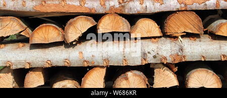 split dry firewood Stock Photo