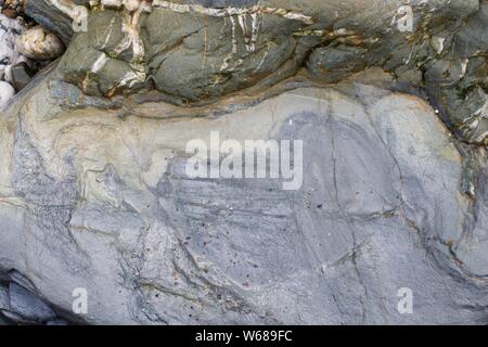 Natural Background of Metasedimentary Rock. St Agnes, North Cornwall, UK. Stock Photo