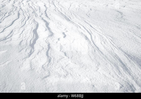 Natural background texture, snowdrift relief with nice curved shadows Stock Photo
