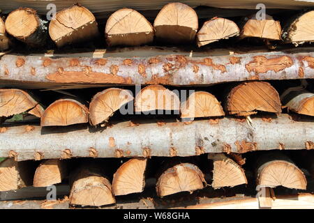 split dry firewood Stock Photo