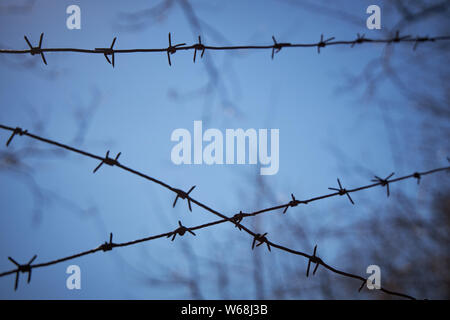 Rows of barbed wire against a dark blue sky, blurred image Stock Photo