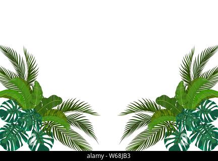 The green leaves of the tropical palm trees are symmetrical on the sides. Monstera, agave, banana. illustration Stock Vector