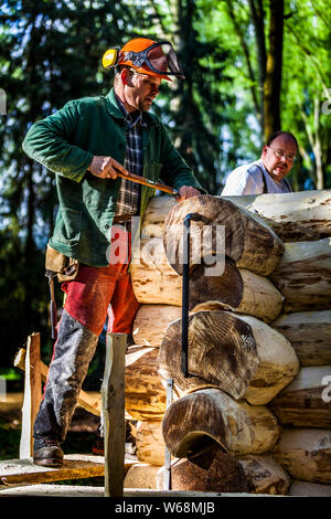 Building a log house with chainsaw and traditional carpenter tools. A carpenter wearing chainsaw chaps and a visored helmet cuts a notch into a log of the log cabin shell with a hatchet, a second man watching in the background Stock Photo