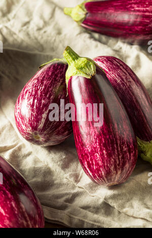 Raw Purple Organic Gaffiti Eggplant Ready to Cook Stock Photo
