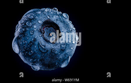 One blueberry covered with water drops isolated on black background. Very detailed macro shoot with copy space on right. Stock Photo