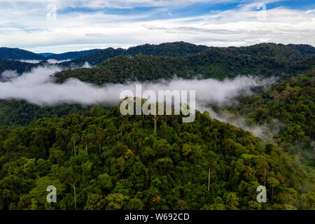 Aerial drone view of clouds and mist forming over a tropical rainforest after a recent rain storm Stock Photo