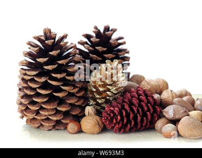 nuts in shells with pine cones on the table Stock Photo