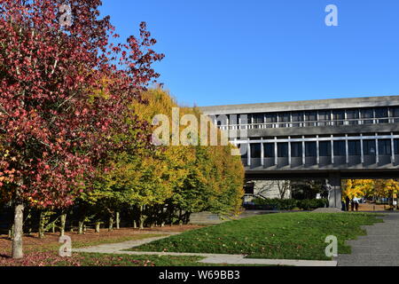 Fall colours in the academic quadrangle of Simon Fraser University Stock Photo