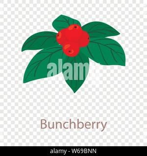 Bunchberry icon, isometric 3d style Stock Vector