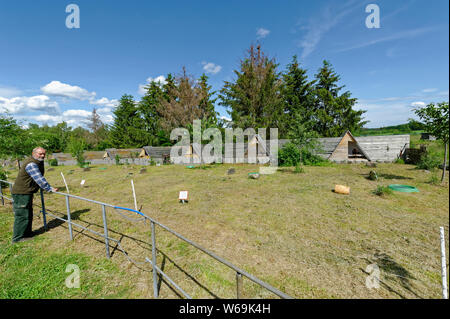 Falconry in Harz,Güntersberge,Saxony Anhalt,Germany. Stock Photo